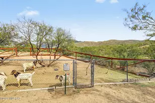 7342 S Pistol Hill Rd, Vail, AZ 85641 - Photo 36