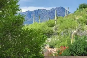 4456 N Saddle View Dr, Tucson, AZ 85750 - Photo 30