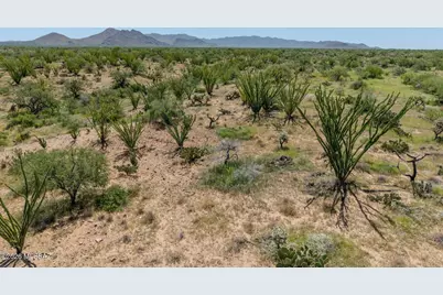 14417 S Jacobson Drive, Tucson, AZ 85736 - Photo 6