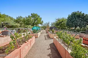 989 S La Pera, Green Valley, AZ 85614 - Photo 14