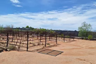 9771 N Clayton Pl, Marana, AZ 85653 - Photo 38