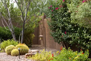 10003 N Fulbrook Way, Marana, AZ 85653 - Photo 42