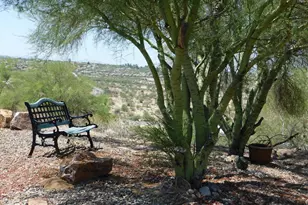 1501 W Calle Concordia, Oro Valley, AZ 85704 - Photo 38