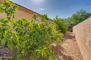 420 W Lexington St, Vail, AZ 85641 - Photo 38