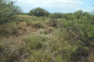 8651 E Kitty Mow Trail, Pearce, AZ 85625 - Photo 50