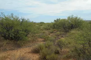 8651 E Kitty Mow Trail, Pearce, AZ 85625 - Photo 40