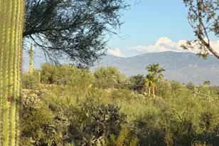 3800 N Tanuri Dr, Tucson, AZ 85750 - Photo 36
