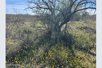 15630 E Rincon Creek Ranch Road, Tucson, AZ 85747 - Photo 6