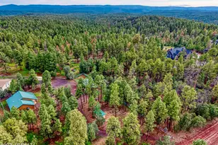 4895 Rim Spur, Lakeside, AZ 85929 - Photo 34