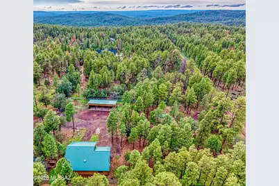 4895 Rim Spur, Lakeside, AZ 85929 - Photo 30
