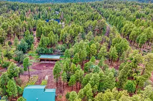 4895 Rim Spur, Lakeside, AZ 85929 - Photo 30