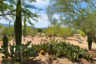 6075 N Van Ark Rd, Tucson, AZ 85743 - Photo 40