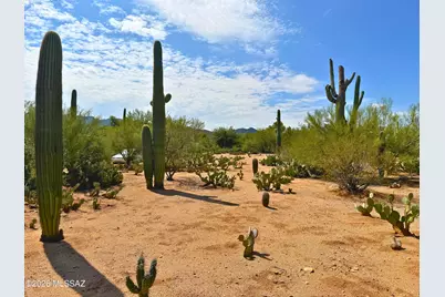 6075 N Van Ark Road, Tucson, AZ 85743 - Photo 34