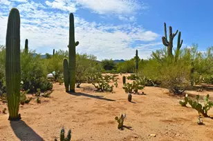 6075 N Van Ark Rd, Tucson, AZ 85743 - Photo 34