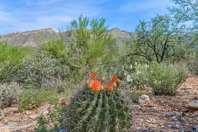 6280 N Jochums Drive, Tucson, AZ 85718 - Photo 26