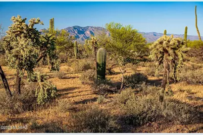 2595 N Lloyd Bush Drive, Tucson, AZ 85745 - Photo 44
