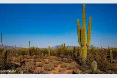 2595 N Lloyd Bush Drive, Tucson, AZ 85745 - Photo 46