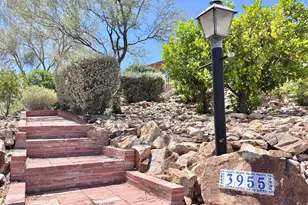 3955 W Coyote Ridge Trail, Tucson, AZ 85746 - Photo 4
