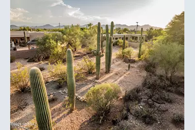 6010 N Canyon Drive, Tucson, AZ 85704 - Photo 44