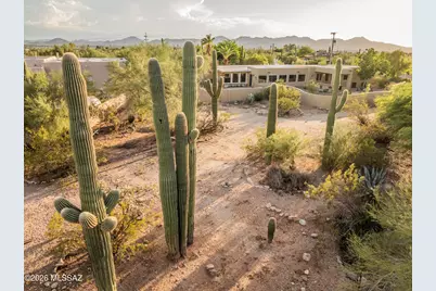 6010 N Canyon Drive, Tucson, AZ 85704 - Photo 8