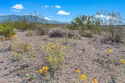 5810 N Abington Road #113, Tucson, AZ 85743 - Photo 18