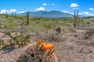 5810 N Abington Rd, Tucson, AZ 85743 - Photo 1