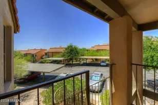 6651 N Campbell Ave, Tucson, AZ 85718 - Photo 22