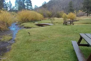 32 1009 Unit 10 (Cabin 90), Greer, AZ 85927 - Photo 6