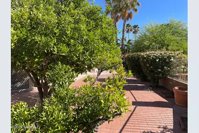 2514 N Camino Reloj, Green Valley, AZ 85614 - Photo 34