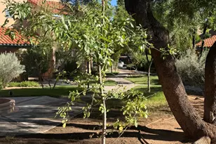 5402 N Via Del Arbolito, Tucson, AZ 85750 - Photo 42