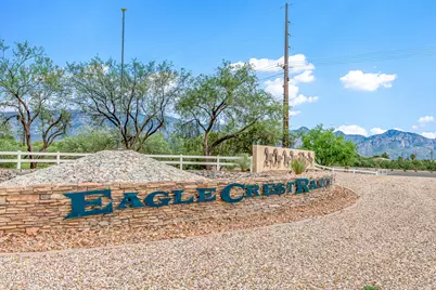 38946 S Running Roses Lane, Tucson, AZ 85739 - Photo 34