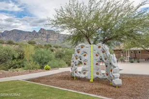 11981 N Silver Vlg Pl, Oro Valley, AZ 85737 - Photo 34