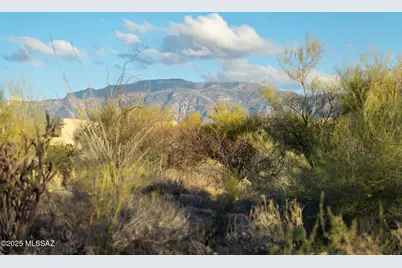 14191 N Giant Saguaro Place #23, Oro Valley, AZ 85755 - Photo 12