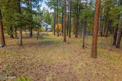 7 2190 #73, Alpine, AZ 85920 - Photo 6
