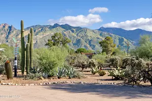 4625 N Flecha Dr, Tucson, AZ 85718 - Photo 28