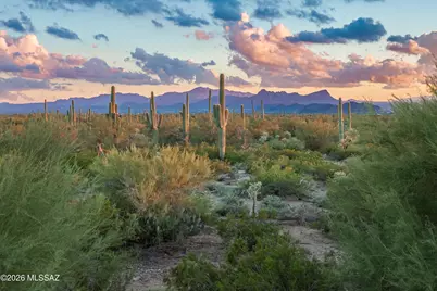7111 W Cape Final Trail, Marana, AZ 85658 - Photo 32