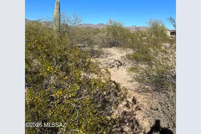 9690 W Sky Blue Drive, Tucson, AZ 85735 - Photo 24