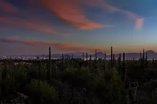 7185 N Agave Ridge Pl, Tucson, AZ 85718 - Photo 46