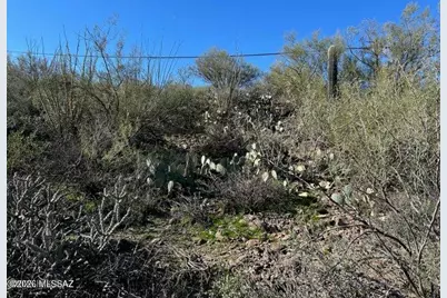 213 N Boulder Terrace, Tucson, AZ 85745 - Photo 6