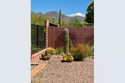 7220 Cactus Flower Pass, Marana, AZ 85658 - Photo 22