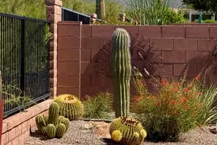 7220 Cactus Flower Pass, Marana, AZ 85658 - Photo 22