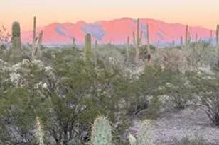 4390 W Camino Nuestro, Tucson, AZ 85745 - Photo 18