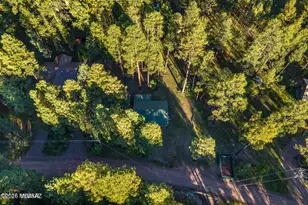 8 NE County Road 2065, Alpine, AZ 85920 - Photo 24