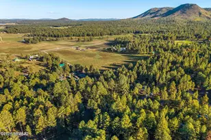 8 NE County Road 2065, Alpine, AZ 85920 - Photo 26