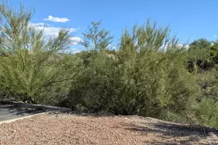 2749 W Avenida Azahar, Tucson, AZ 85745 - Photo 4