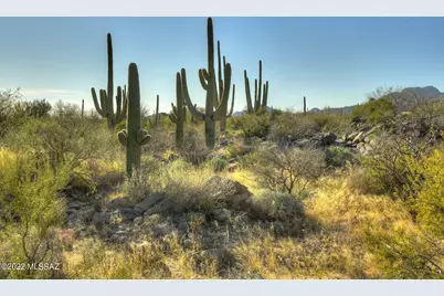 14451 N Giant Saguaro Place #32, Oro Valley, AZ 85755 - Photo 1