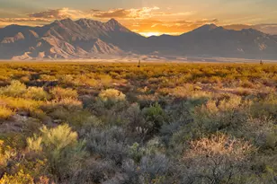 1183 E Madera Estates Ln, Sahuarita, AZ 85629 - Photo 1