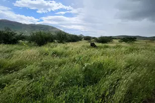 Tbd N Double U Ranch Rd, Tombstone, AZ 85638 - Photo 1