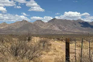 80 Ac W Gleeson Rd, Elfrida, AZ 85610 - Photo 1