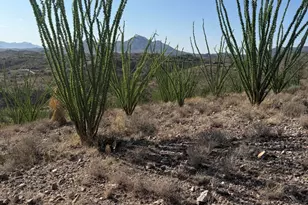 467 Brizza Bonell, Rio Rico, AZ 85648 - Photo 1